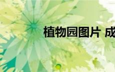 植物园图片 成都植物园图片 