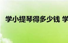 学小提琴得多少钱 学小提琴到十级的费用 