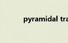 pyramidal tract pyramidal 