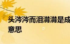 头涔涔而泪潸潸是成语吗 头涔涔而泪潸潸的意思 