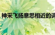 神采飞扬意思相近的词语 神采飞扬的近义词 