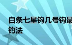 白条七星钩几号钩最好用 公认钓白条最快的钓法 