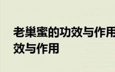 老巢蜜的功效与作用过敏性鼻炎 老巢蜜的功效与作用 