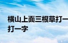 横山上面三根草打一字答案 横山上面三根草打一字 