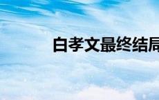 白孝文最终结局 白孝文扮演者 