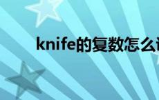 knife的复数怎么说 knife复数形式 