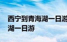 西宁到青海湖一日游报团多少钱 西宁到青海湖一日游 