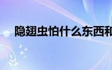 隐翅虫怕什么东西和气味 隐翅虫怕什么 