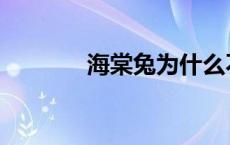 海棠兔为什么不能养 海棠兔 