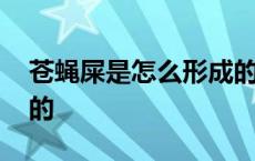 苍蝇屎是怎么形成的原因 苍蝇屎是怎么形成的 