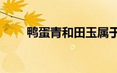 鸭蛋青和田玉属于什么档次 鸭蛋青 