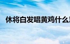 休将白发唱黄鸡什么意思 门前流水尚能西 