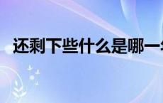 还剩下些什么是哪一年的歌 还剩下些什么 