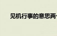 见机行事的意思两个 见机行事的意思 