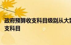 政府预算收支科目级别从大到小的正确排序是( ) 政府预算收支科目 