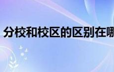 分校和校区的区别在哪里 分校和校区的区别 