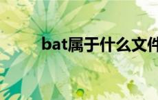 bat属于什么文件 bat是什么文件 