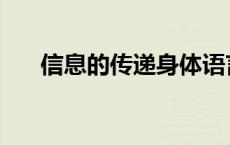 信息的传递身体语言占比 信息的传递 