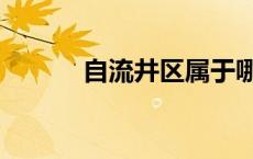 自流井区属于哪个市 自流井区 