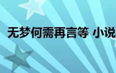 无梦何需再言等 小说 无梦何须再言等免费 