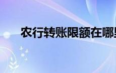 农行转账限额在哪里查 农行转账限额 