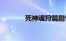 死神魂狩篇剧情 死神魂狩篇 