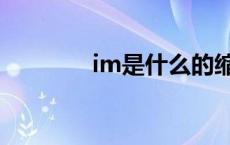 im是什么的缩写 im是什么 