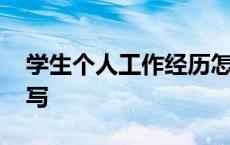 学生个人工作经历怎么写 个人工作经历怎么写 