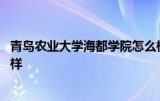 青岛农业大学海都学院怎么样呀 青岛农业大学海都学院怎么样 