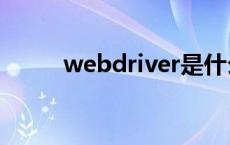 webdriver是什么 driver是什么 