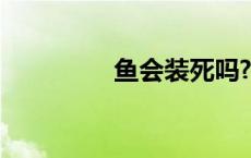 鱼会装死吗? 鱼会装死吗 