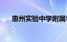 惠州实验中学附属学校 惠州实验中学 