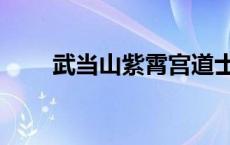 武当山紫霄宫道士名录 武当山道士 