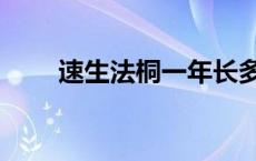 速生法桐一年长多少公分 速生法桐 