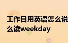 工作日用英语怎么说weekday 工作日英语怎么读weekday 