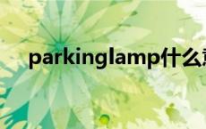 parkinglamp什么意思 lamp什么意思 