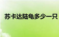 苏卡达陆龟多少一只 广州苏卡达陆龟批发 