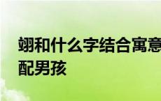 翊和什么字结合寓意好男孩名 翊与哪个字搭配男孩 