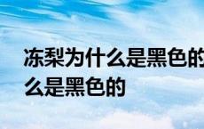 冻梨为什么是黑色的原因蚂蚁庄园 冻梨为什么是黑色的 