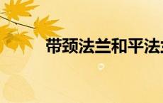 带颈法兰和平法兰区别 带颈法兰 