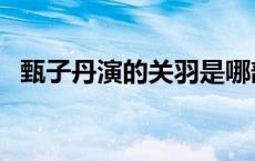 甄子丹演的关羽是哪部剧 甄子丹演的关羽 