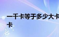 一千卡等于多少大卡热量 一千卡等于多少大卡 