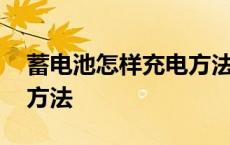 蓄电池怎样充电方法正确 锂电池的正确使用方法 