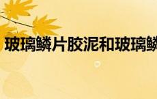 玻璃鳞片胶泥和玻璃鳞片涂料 玻璃鳞片胶泥 