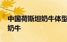 中国荷斯坦奶牛体型线性鉴定表 中国荷斯坦奶牛 