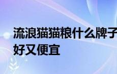 流浪猫猫粮什么牌子好又便宜 猫粮什么牌子好又便宜 