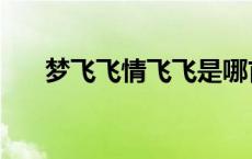 梦飞飞情飞飞是哪首歌的歌词 梦飞飞 