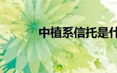 中植系信托是什么 信托是什么 