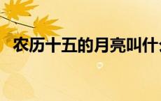 农历十五的月亮叫什么 十五的月亮叫什么 