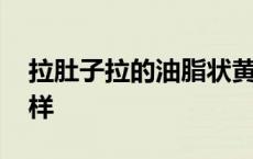 拉肚子拉的油脂状黄水 拉肚子拉黄水像油一样 